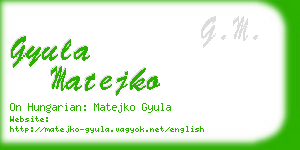 gyula matejko business card